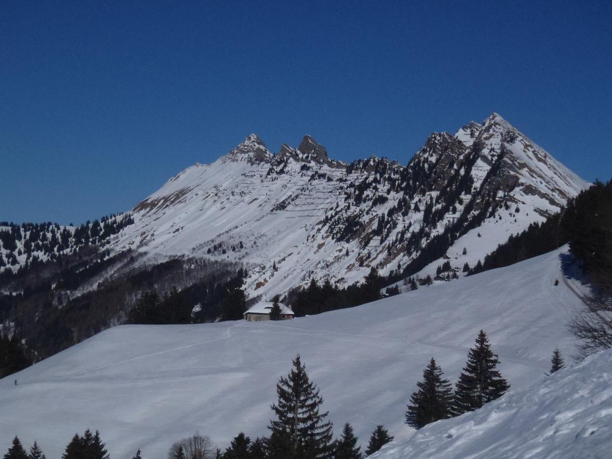 Вилла Gais Alpins Монтрё Экстерьер фото